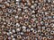 Translucent Smoky Topaz Picasso Miyuki Seed Beads - Miyuki 4505
